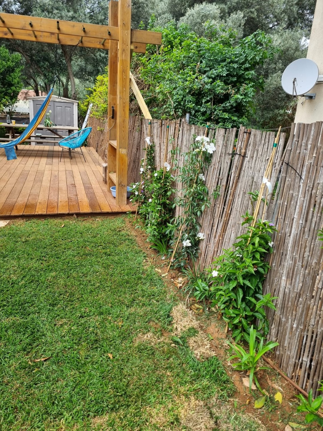 פרויקטים מגוונים