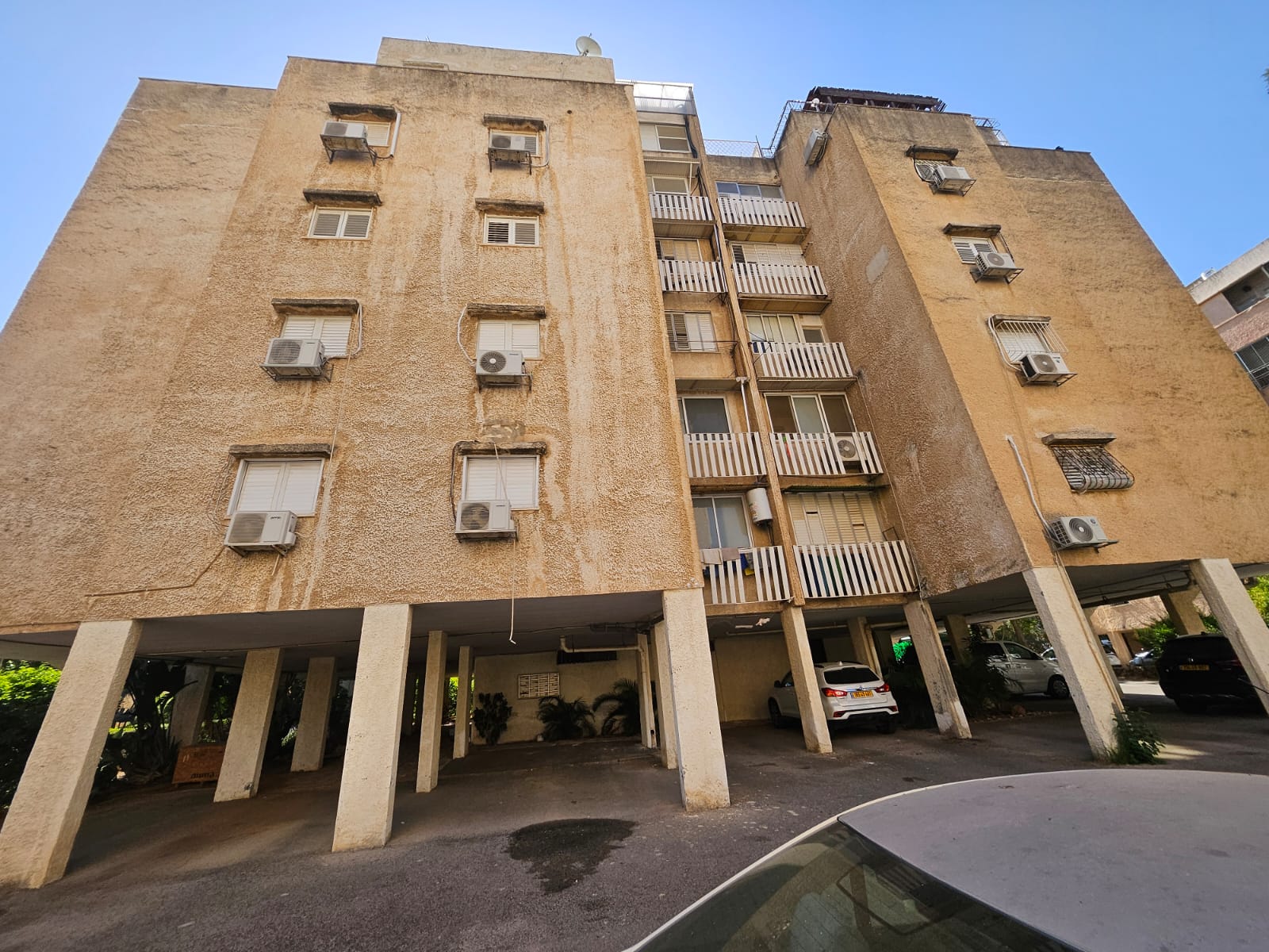 הקמת תשתיות ואחזקת צמחייה חיה על חזית בניין