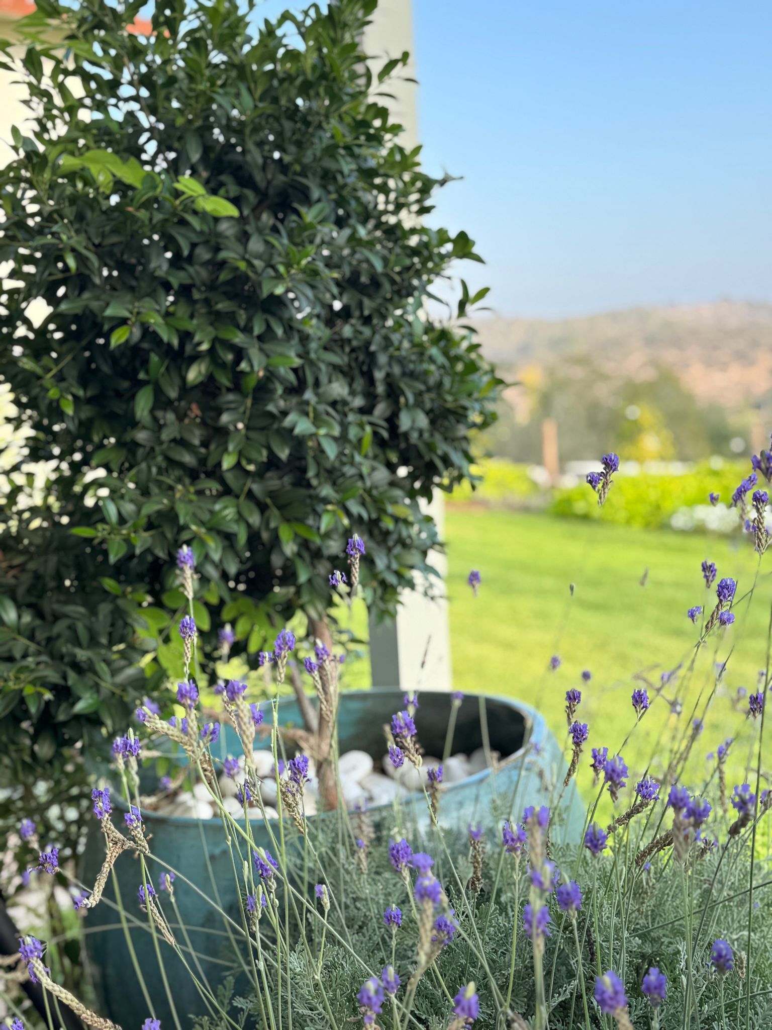 גינות פרטיות