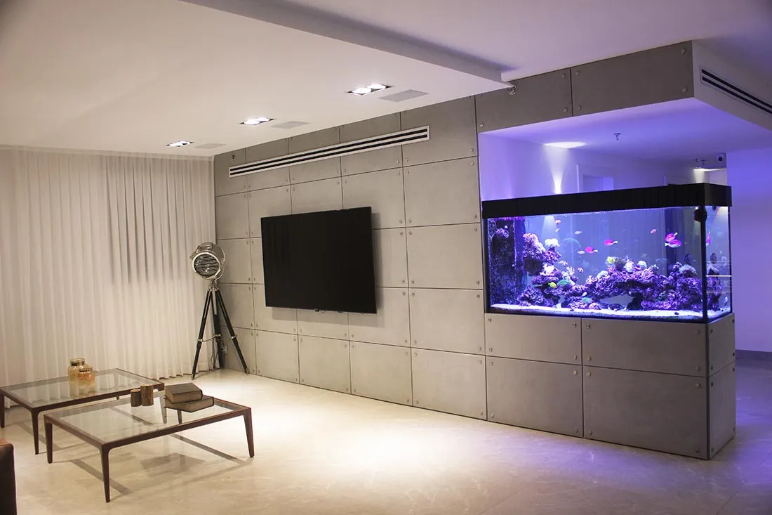 פרוייקטים מגוונים