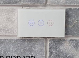 פרויקטים מגוונים