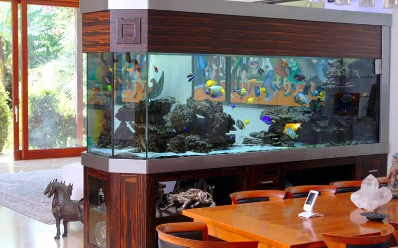 פרוייקטים מגוונים