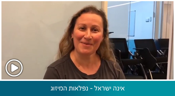 אינה ישראל - נפלאות המיזוג