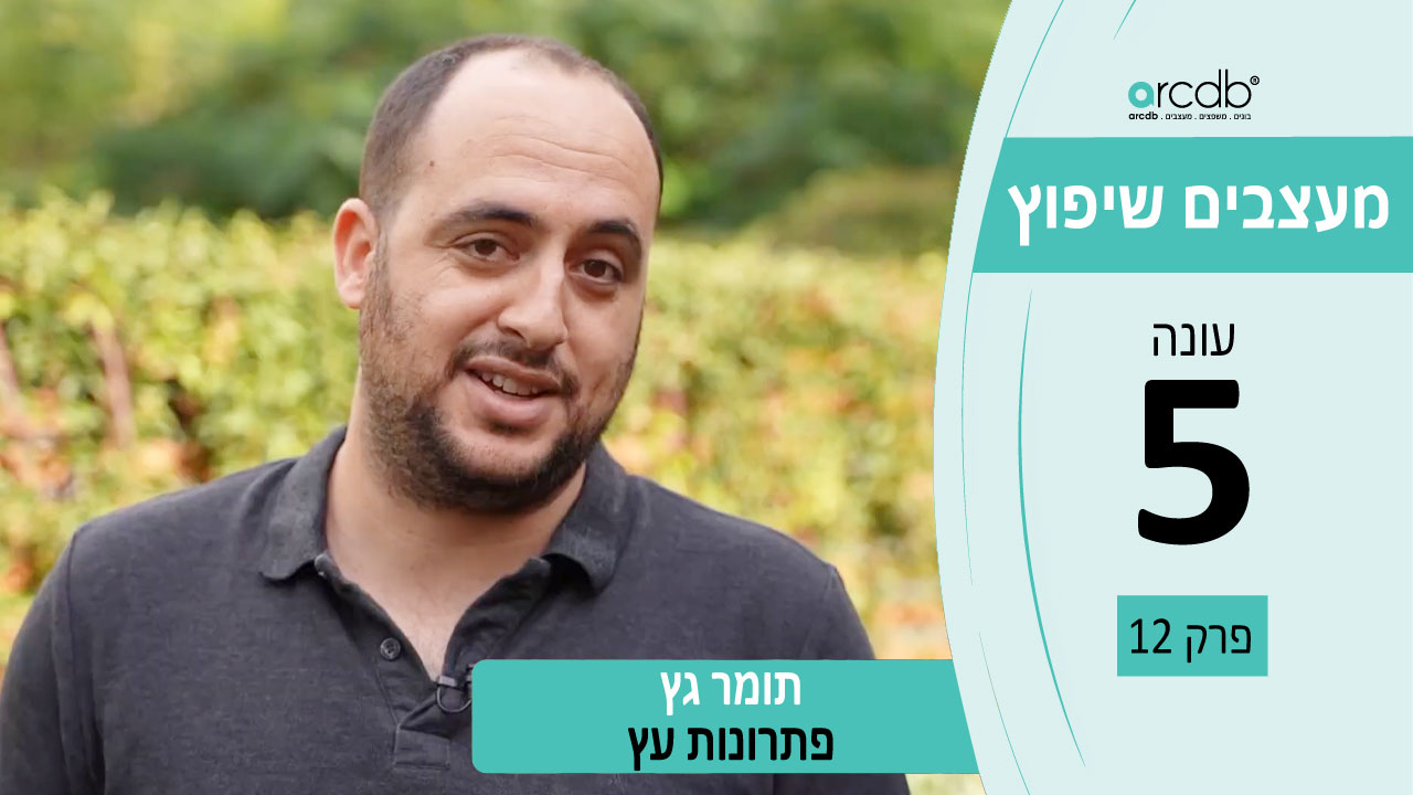 פרויקט עץ ייחודי עם צבעוניות משגעת