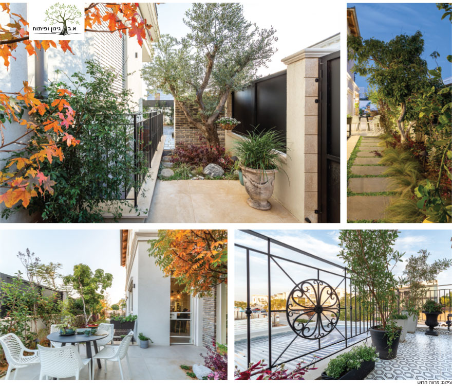 היופי בגינת הבית