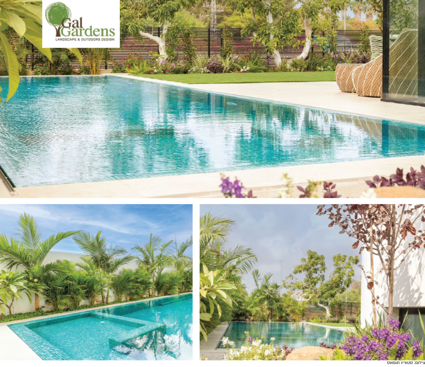 להרגיש את הגינה