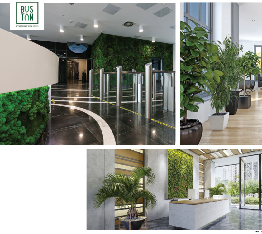 צמחיה שופעת במרחב העסקי