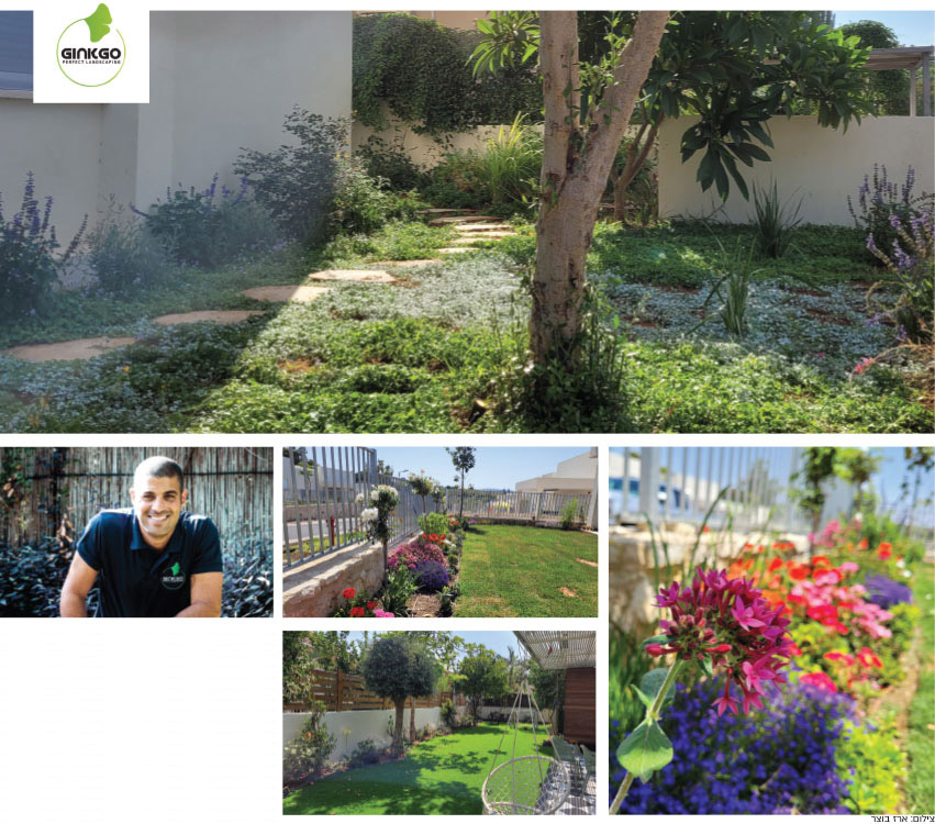 מא’ ועד ת’ בסטנדרט גבוה