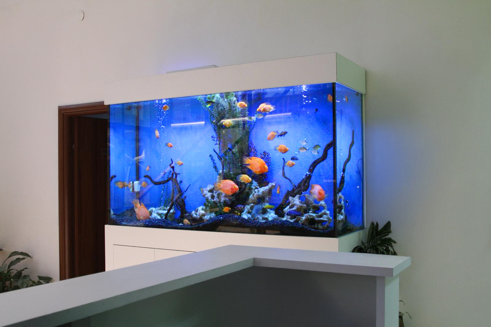 מפל מים לגינה