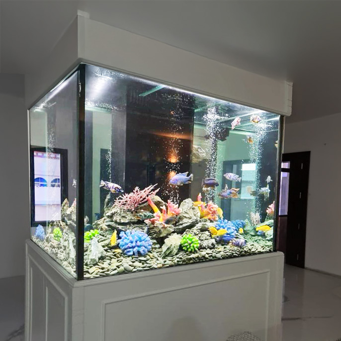 אקווריום מעוצב