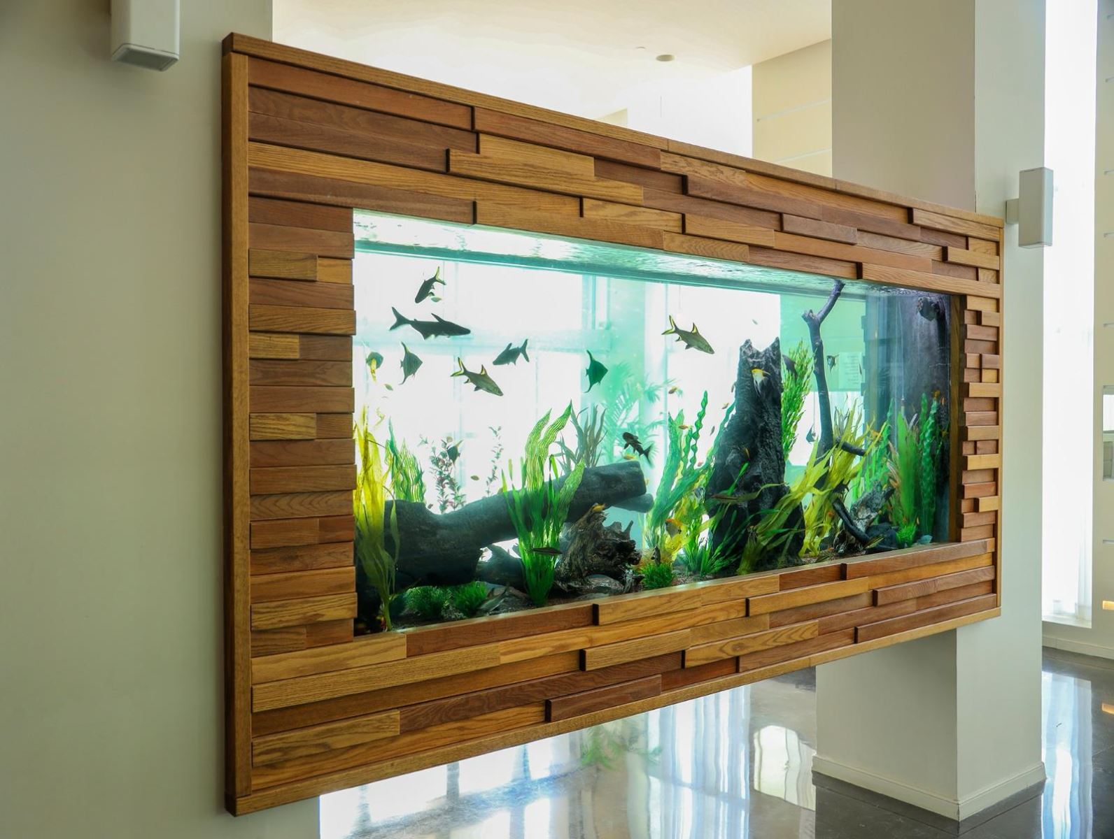 בריכת נוי מעוצבת