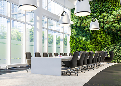 עיצוב משרדים על פי פילוסופיית BIOPHILIC